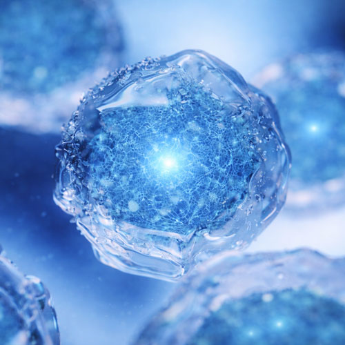 幹細胞培養上清液事業